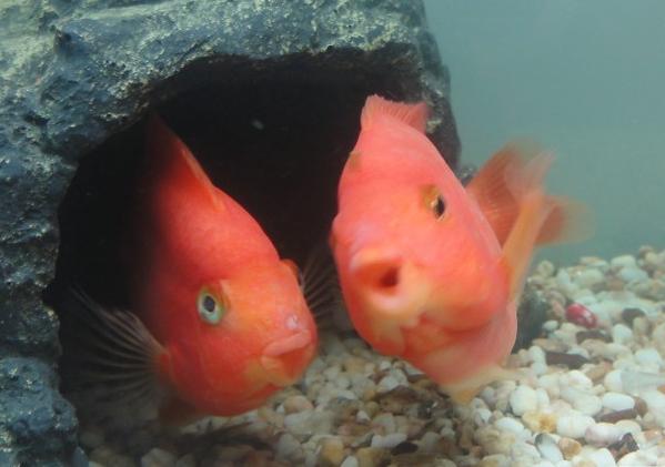 老司机亲身经历告诉你答案,摄影老司机背后不为人知的秘密