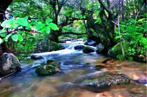 洛阳涧西区好玩的景点,洛阳35个免费景点