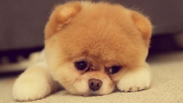 出来混迟早要还聊北汽EV150的是是非非