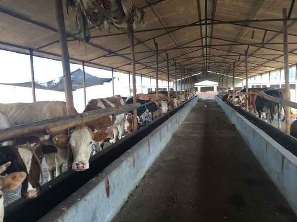 鼎鲜渔掌门养生火锅赵公口店,鼎鲜渔掌门养生火锅团购