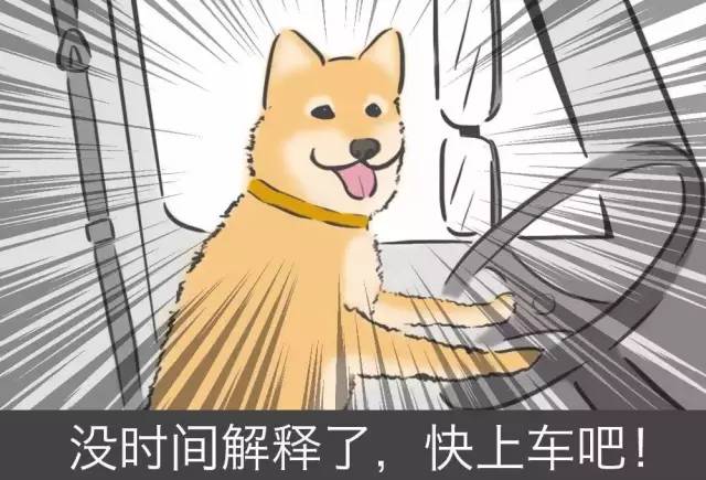 ppt100个操作技巧,如何让你的ppt快速变得高大上