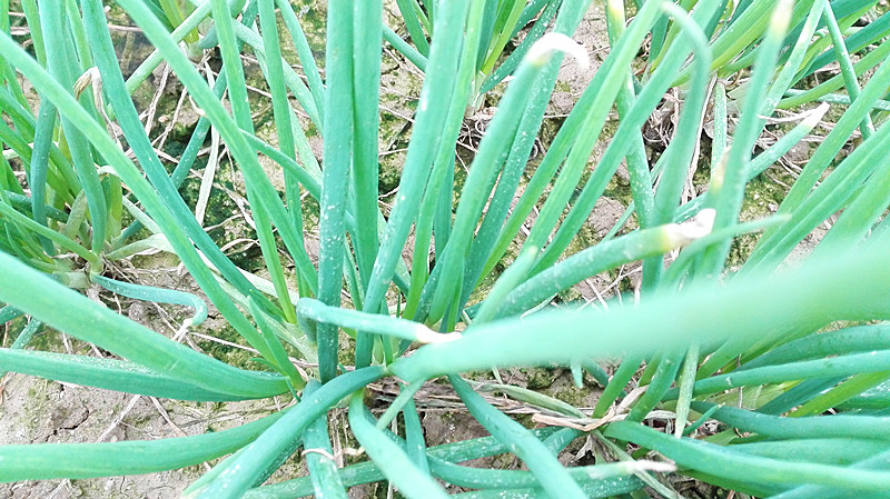 去沙漠容易得什么病,在沙漠中如果生病了如何就地治疗