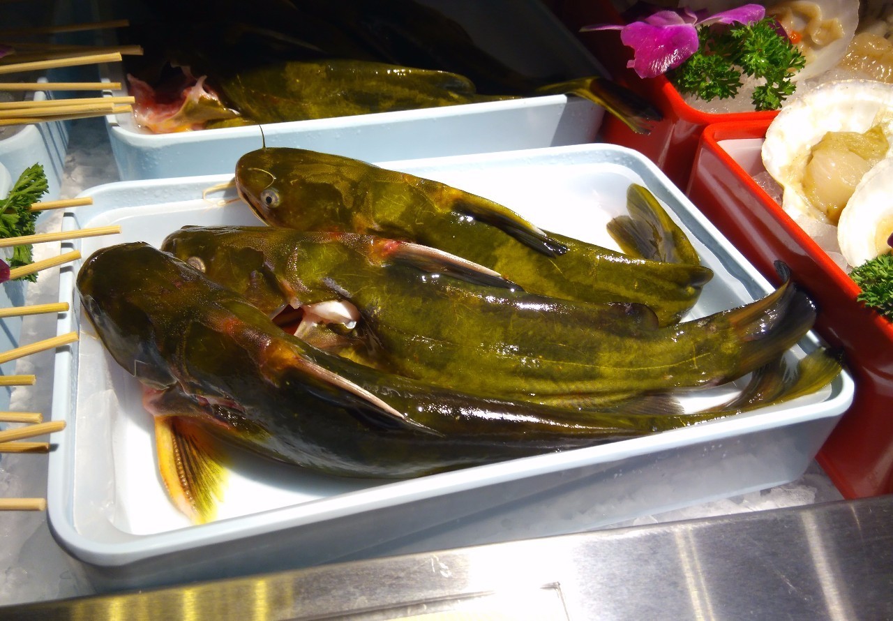 重庆火锅推荐北京,重庆正宗潮汕牛肉火锅推荐