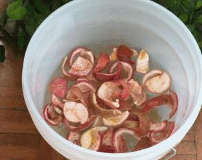 健康养生鲜酿酵素,一杯鲜酿酵素的快乐