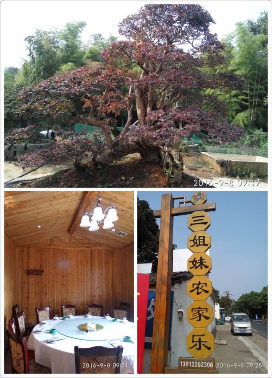 宜兴附近农庄有山有水,宜兴农家乐2000元一月的农庄