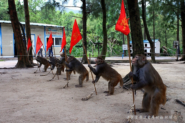 两院院士广东江门,江门院士有多厉害