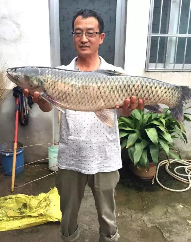 《渔获战报》黑坑之王在此，江湖没有之一