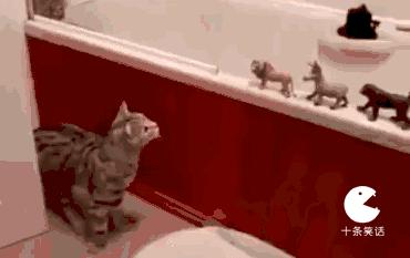 关于被绿的段子笑话,爆笑段子说别人被绿了