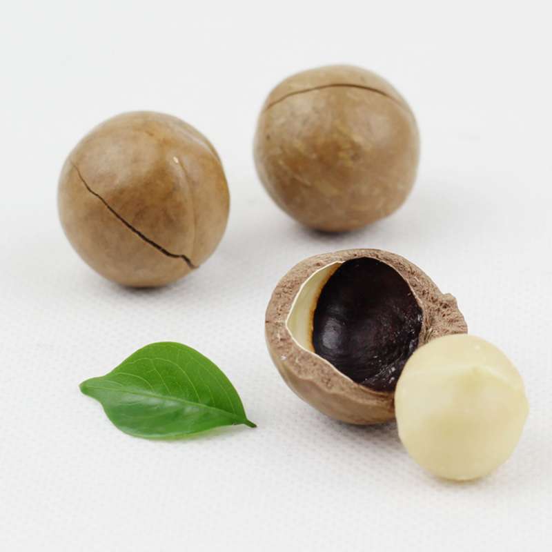 爱在食尚之夏威夷坚果