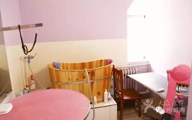 威海最全的宠物店汇总!喵奴汪主人还不速速收藏!