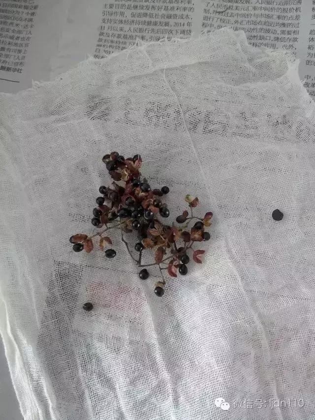 奶奶的黄豆西瓜酱,黄豆西瓜酱的做法