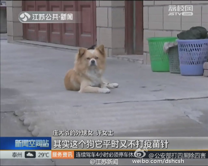 怎么知道狗携带有狂犬病毒,咋样知道有没有狂犬病发作