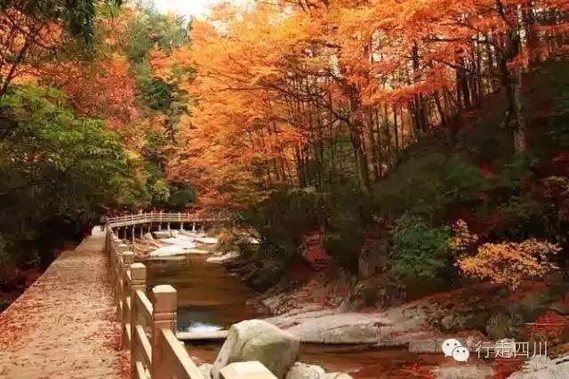 四川景点必去十大景点五月,四川5-6月最美的地方