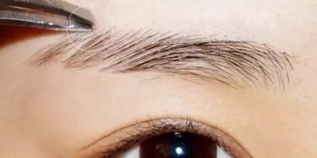 赵丽颖一字眉眉形画法,赵丽颖的眉毛是什么样的眉形