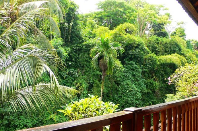 巴厘岛日常艺术照,巴厘岛顶级艺术