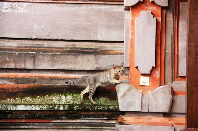 巴厘岛美拉艺术酒店,巴厘岛巴厘艺术中心