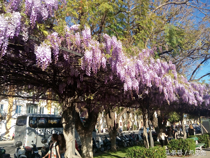 西班牙塞维利亚的西班牙广场,西班牙塞维利亚的风景
