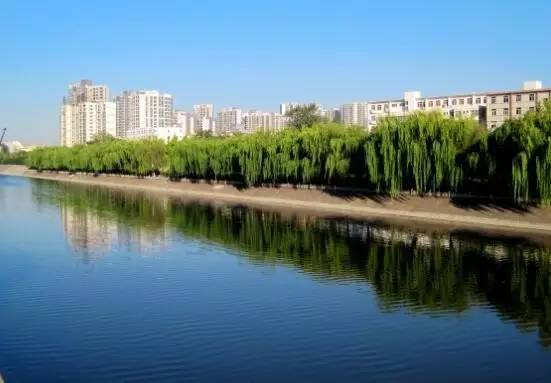 夜跑打卡深秋的夜晚,爱上夜跑2015秋冬