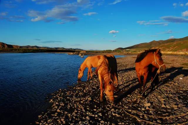 不需要知道你离世的理由，只愿你在天堂能重展笑容！