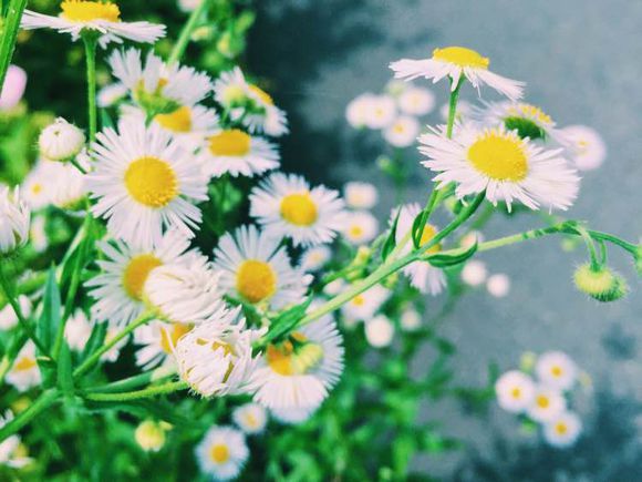 微信经典说说心情短语大全,微信说说心情短语大全100句