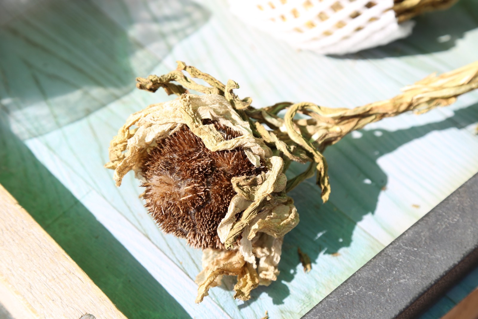 西行之路取经不易,取经不去西天会怎么样