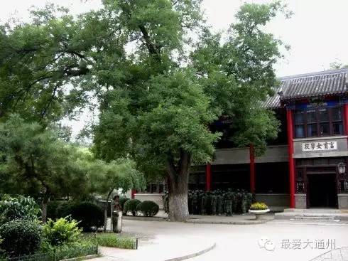 通州老牌学校,北京通州有哪些特别好的学校