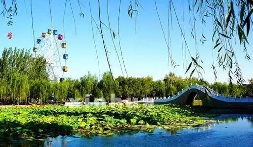 关注20个银川之最,你知道几个?搞定一半你就太牛了!