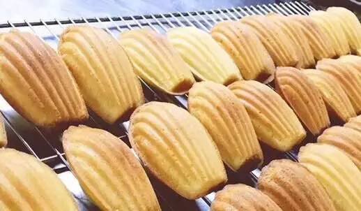 玛德琳模具新款,玛德琳模具单个