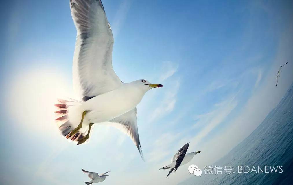 亦企事100不是终点，“儿童节”宝健和您一起守护孩子的梦想