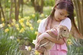 街边买来小宠物,竟致8岁女孩全身溃烂流脓!