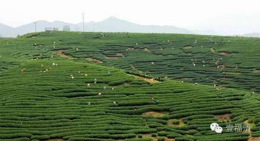 周末去哪玩推荐几个地方福清万达,福清去哪里旅游最好