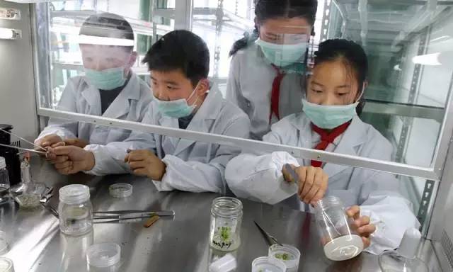 g20杭州峰会体验馆学生研学,g20峰会大学生思政课