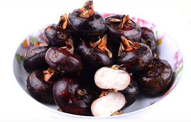 马蹄是种药材吗,马蹄是什么植物果实