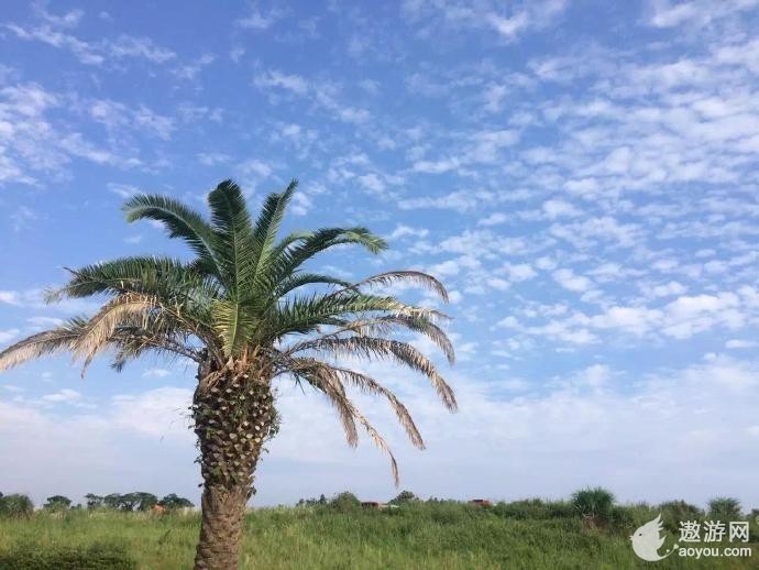 济州岛自由行攻略,济州岛包车自由行之美食攻略