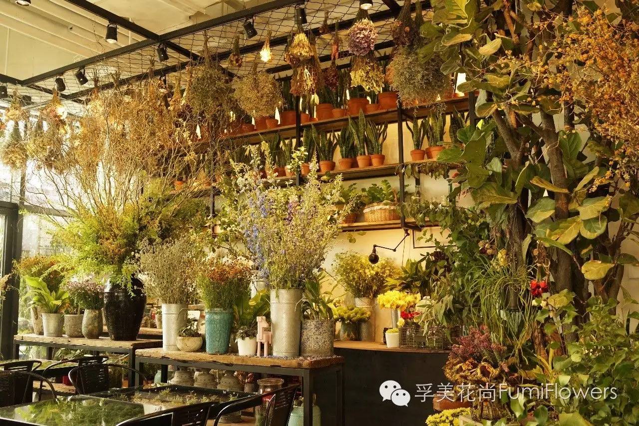 相约北平▏我们都是爱花的人