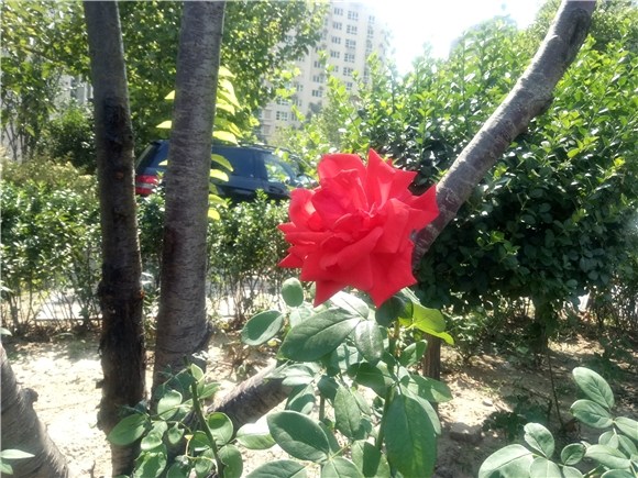 魅蓝u20的参数是多少,魅蓝u20手机好不好