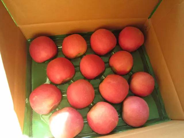 昌平区农业示范园采摘苹果,北京昌平苹果最佳采摘期