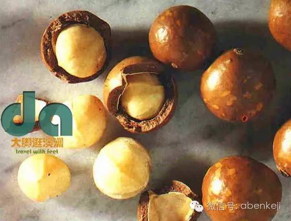 澳洲的三大土特产,澳洲特产有哪些