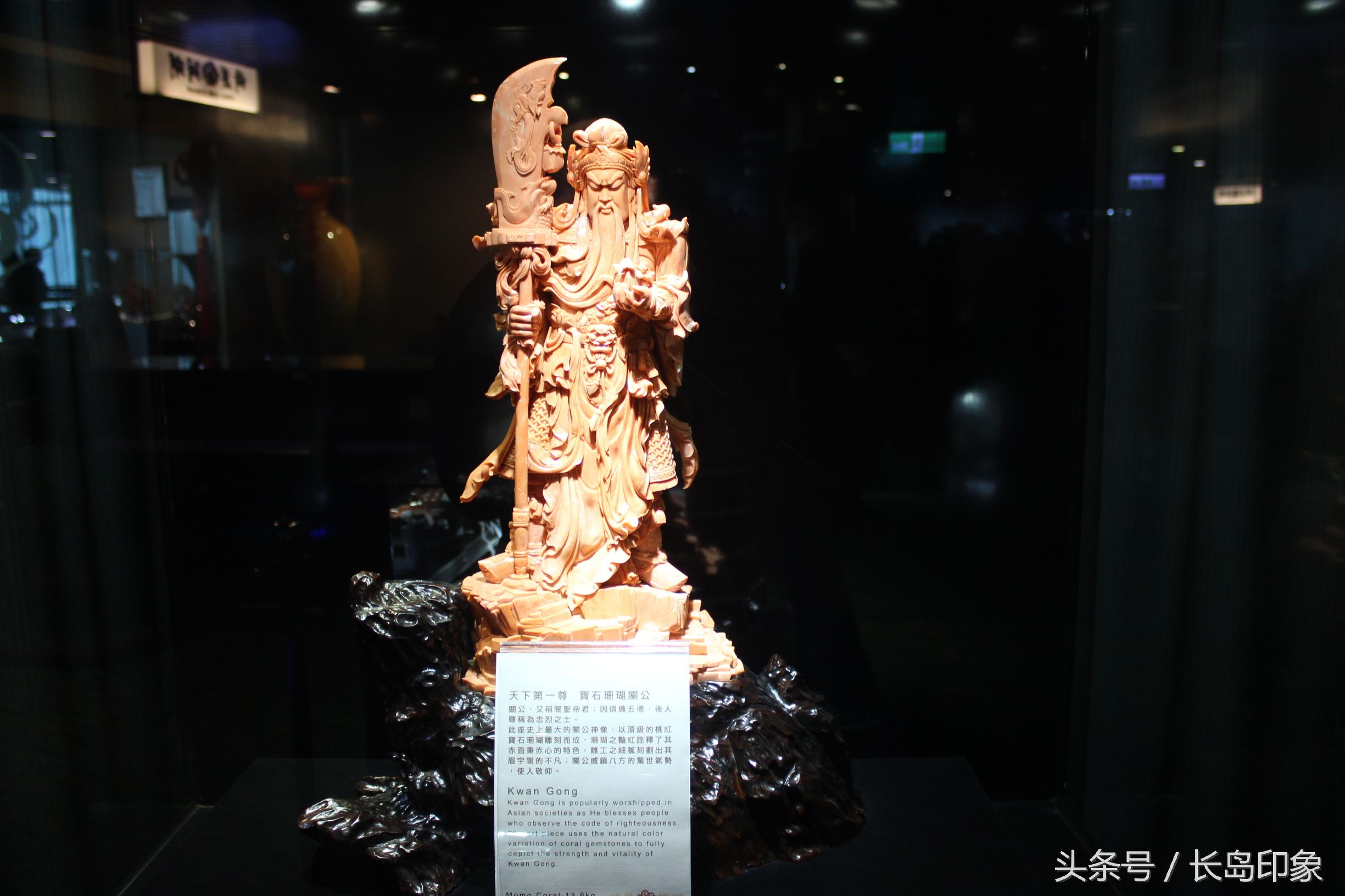 红珊瑚台湾寓意,台湾红珊瑚和日本红珊瑚的区别