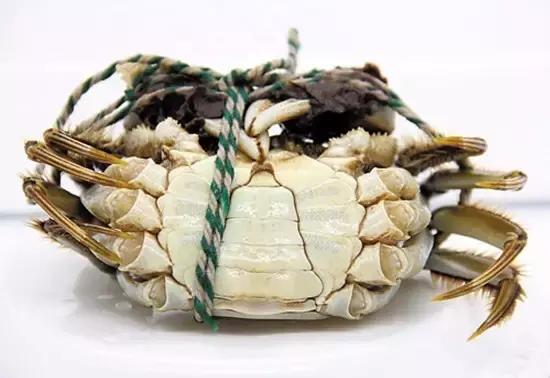 大闸蟹知识教程,大闸蟹基础知识培训