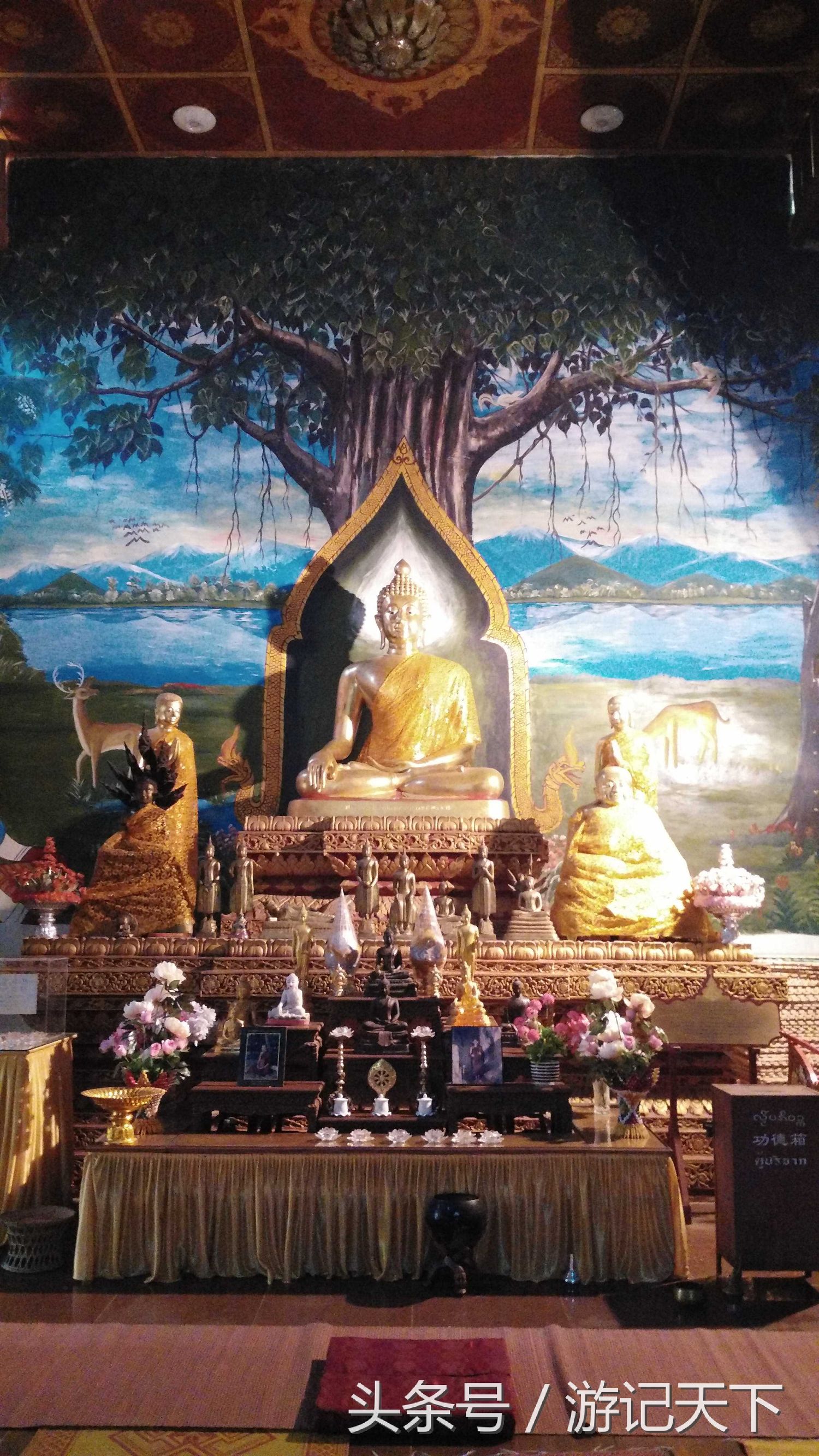 西双版纳深度游,西双版纳傣族园旅游攻略