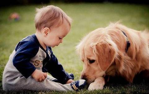 狗身上的腥味怎么才能去除,狗狗身上又腥又臭怎么回事