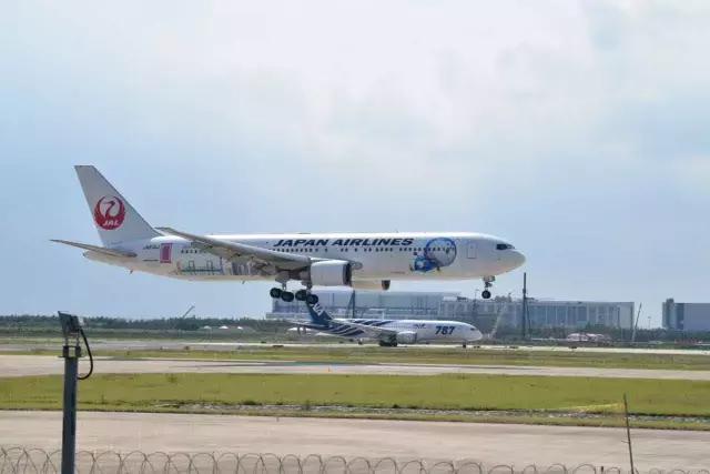 全日空哆啦a梦彩绘机,日本推出哆啦a梦客机