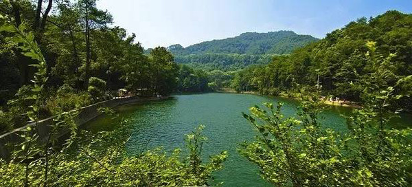 重庆免费景点一览表大全,重庆免费景点合集