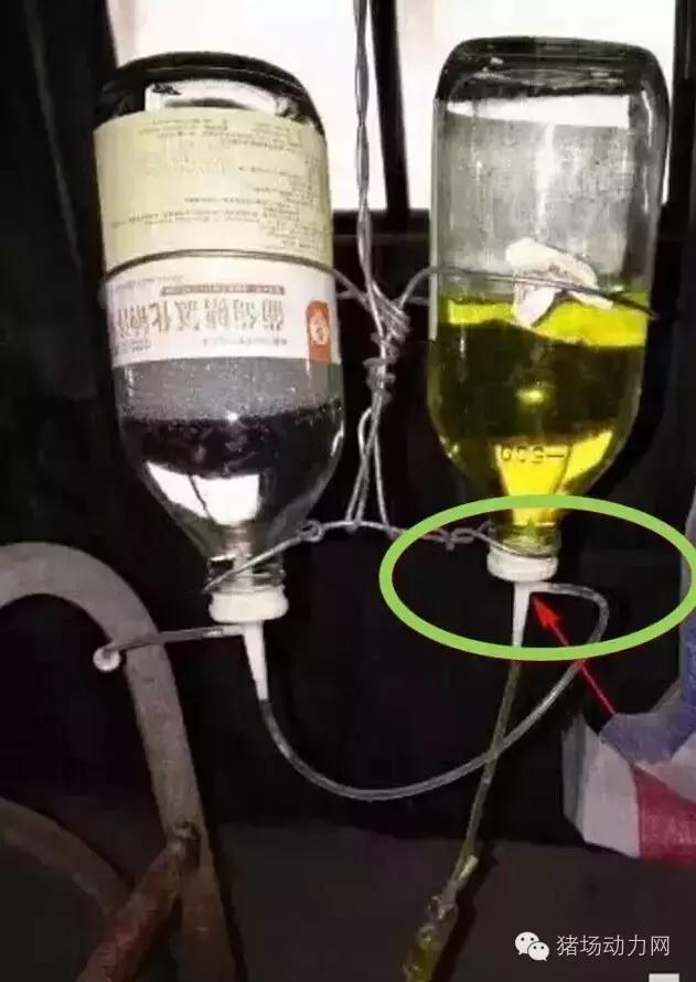 猪场铲粪的工具,铲猪粪神器