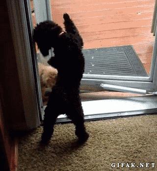 五人足球中场休息,足球比赛中场休息表演