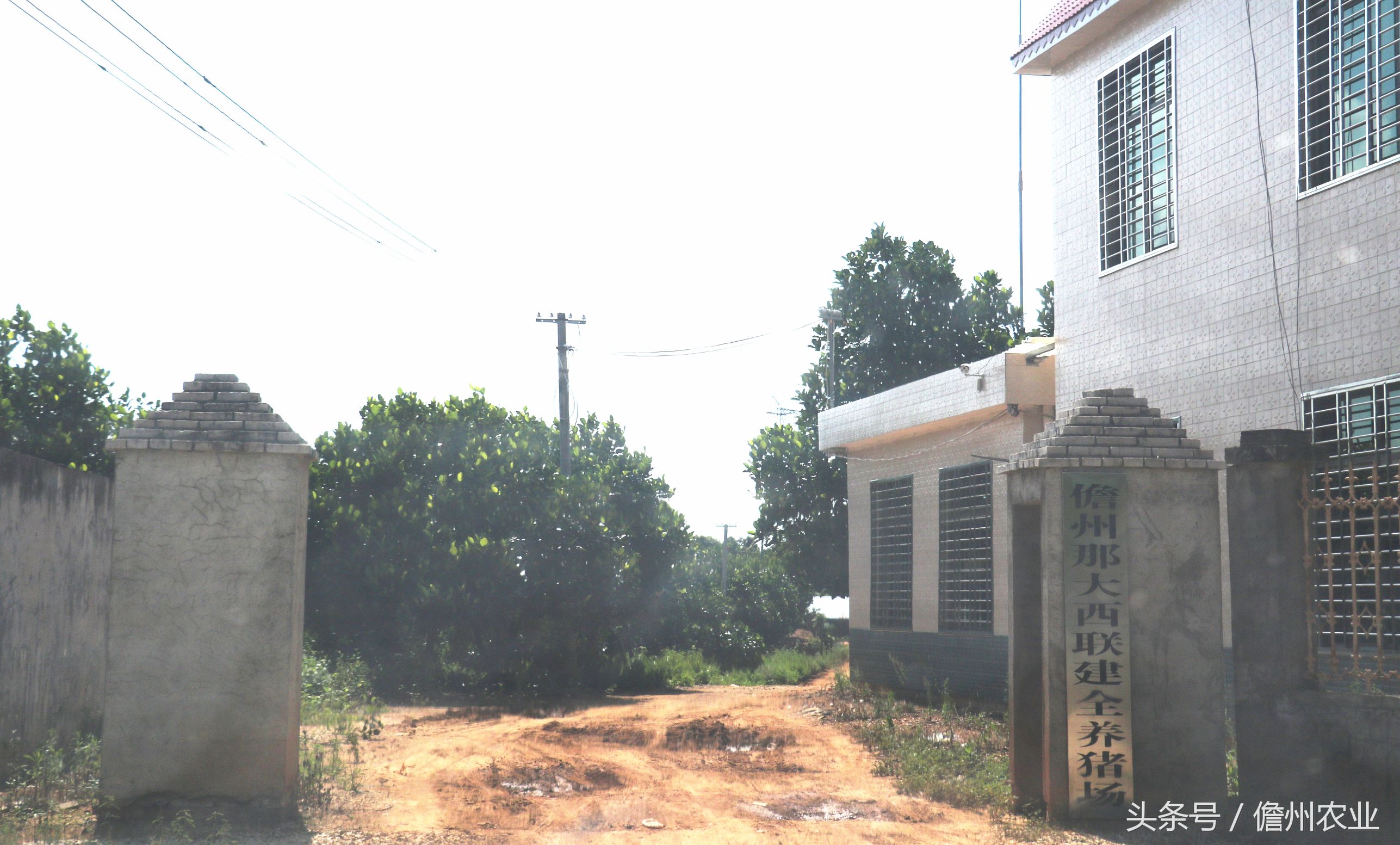 这东西，百吃不厌。吃了还想吃