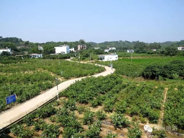 钦州周末出游攻略,钦州乡村旅游攻略