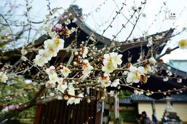 日本写给生活的情书,寄给时光的信件