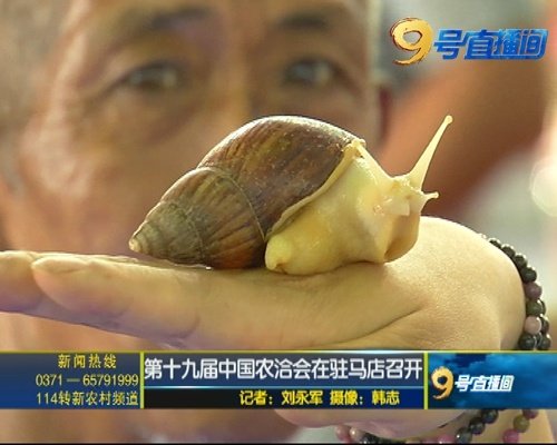 缁胯壊鍏变韩鑿滃洯,缁胯壊鍐滃満鍏变韩鑿滃洯